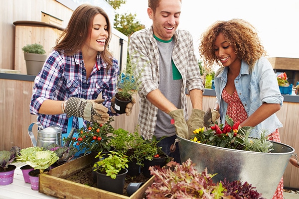 gardening friends