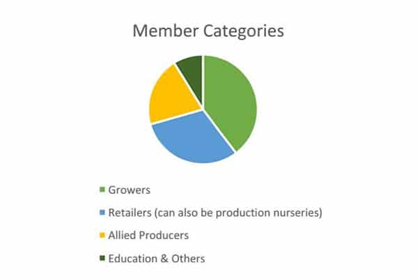 member categories