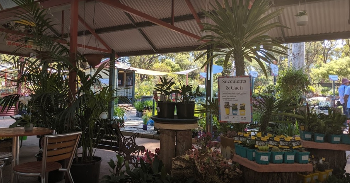 Zanthorrea Nursery NGIWA