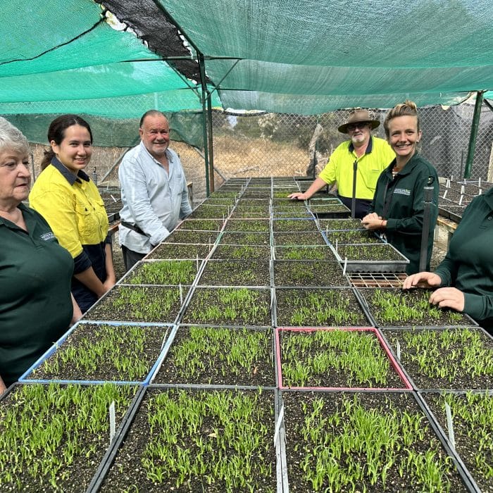 Native Plants WA