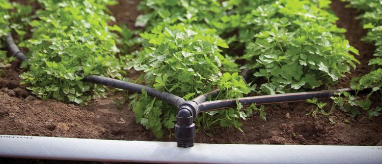 precision irrigation solutions header