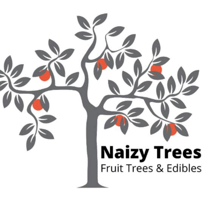 Naizy Trees