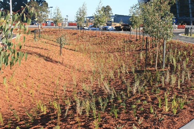 Eclipse Soils