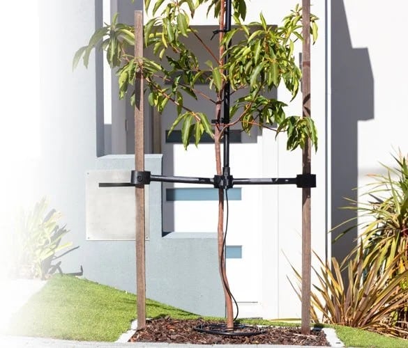 Tree Nurturer